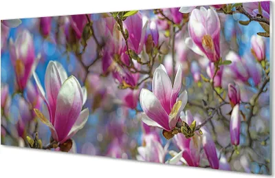 Produktbild von Glasbilder 120x60 Wandkunst Magnolienbaum