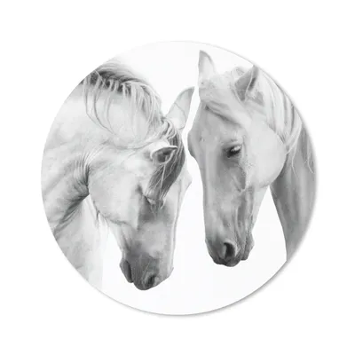 Produktbild von MuchoWow® Mauspad Mousepad Pferd - Tiere - Porträt - Weiß 20x20 cm - Mousepads - Maus Mat - Pad - Mausunterlage - Schreibtischmatte