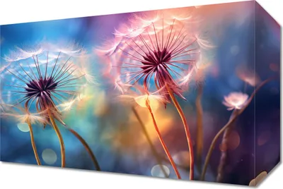 Obrázok produktu pre Obraz 30x20cm Delicate Magic