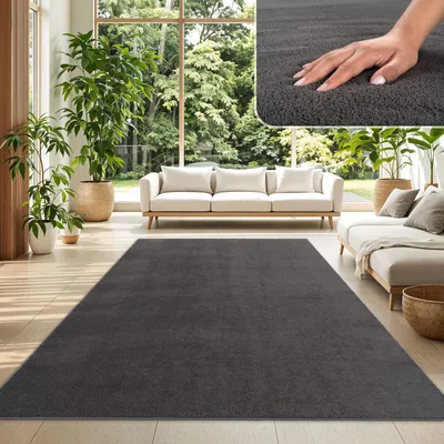 A living room with a sofa and a large rug in front of a window with a view of trees.