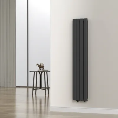 Produktbild von Flachheizkörper 'Nore' Schwarz 160x30cm Doppellagig 1006W