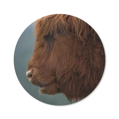 Produktbild von MuchoWow® Mauspad Mousepad Schottische Highlander - Tiere - Nebel 20x20 cm - Mousepads - Maus Mat - Pad - Mausunterlage - Schreibtischmatte