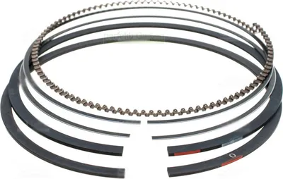 Immagine prodotto di Fasce elastiche Briggs & Stratton 15-19 PS 594437 697164 699026 699051 791936 792506
