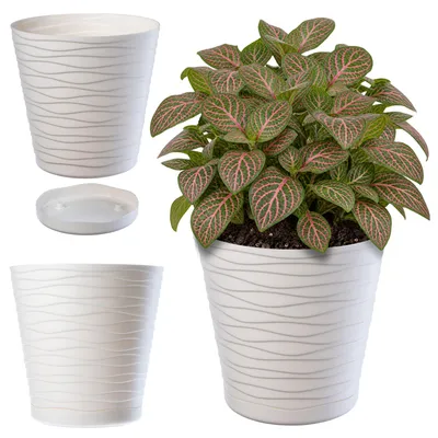 Produktbild von KADAX Blumentopf mit Untersetzer "Greve", Blumenkübel, Pflanztopf aus Kunststoff, Übertopf, rund, 19 cm, Creme