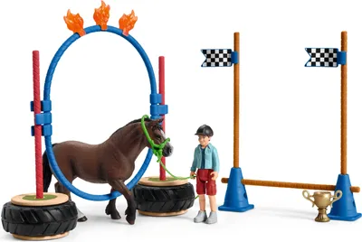 Immagine prodotto di Gara di agilità per pony