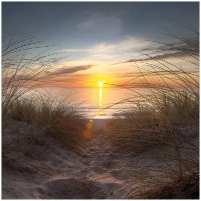 Produktbild von Wallario Möbeldesign / Aufkleber, geeignet für Ikea Lack Tisch - Sonnenuntergang am Strand in 55 x 55 cm