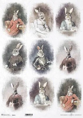 Produktbild von Reispapier für Decoupage A3 ITD-R661L Hase Hase