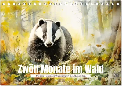 Produktbild von Zwölf Monate im Wald (Tischkalender 2025 DIN A5 quer), CALVENDO Monatskalender
