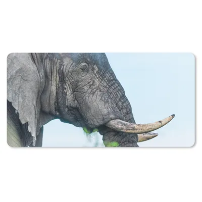 Produktbild von MuchoWow® Schreibtischunterlage Elefant - Tiere - Grau - Natur 80x40 cm - XXL Mauspad - Gaming Mauspad