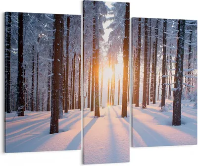 Produktbild von Bild auf Leinwand - Leinwandbild - Wald Winter Schnee - 95x80cm - Wand Bild - Wanddeko - Wandbilder - Leinwanddruck - Bilder - Kunstdruck - Wanddekoration - Leinwand bilder - Wandkunst - CB95x80-3629