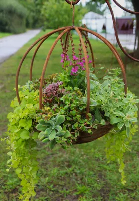 A hanging metal planter filled with various green plants and pink flowers, set outdoors in a grassy area.