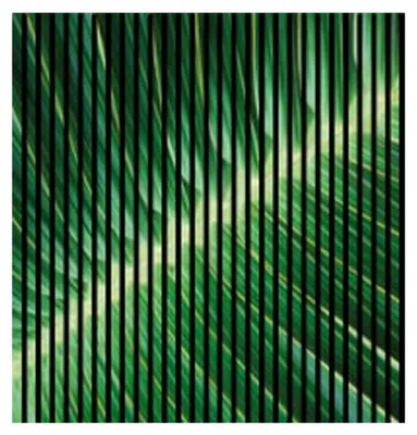 Produktbild von Akustikpaneele mit Digitaldruck Blatt01 19 x 1133 x 1195 mm Blatt Pflanze MDF PET-Fasern Wandpaneele Grün 2 Einzelplatten
