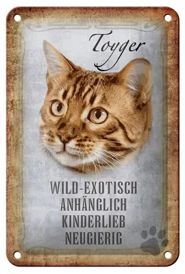 Produktbild von Blechschild Spruch 12x18cm Toyger Katze Schild