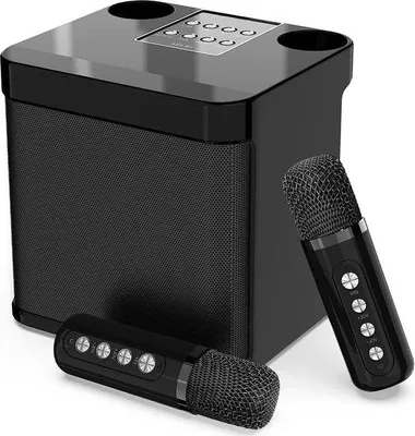 Obrázek produktu pro Karaoke sada pro dospělé, přenosná, Bluetooth, 2 bezdrátové mikrofony, na párty