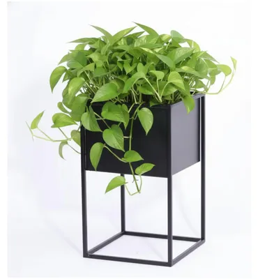Produktbild von Anwicar Blumenständer Metall Schwarz Blumenregal Indoor, 40x24x24 cm