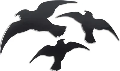 Immagine prodotto di Sagoma di uccello WINDHAGER Adesivo facile - 7116
