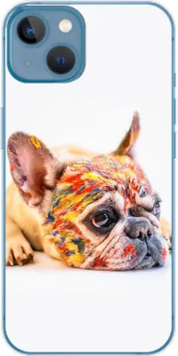 Produktbild von König Design Hülle kompatibel mit Apple iPhone 14 Kunststoff Soft Handyhülle - Handy Case Bulldogge Bunt