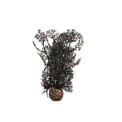 Obrázek produktu pro biOrb Sea fan S black