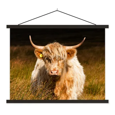 Produktbild von MuchoWow® Textilposter Schottische Highlander - Licht - Gras - Tiere 40x30 cm mit schwarzem Rahmen - Dekorationen