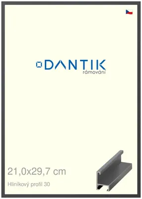 Obrázok produktu pre Rám DANTIK 21x29,7 | ALU profil 6030 Dýha farebná sivá tmavá (sklo číre)