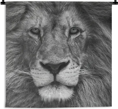 Produktbild von MuchoWow® Wandteppich Wandbehang Persischer Löwe auf schwarzem Hintergrund 60x60 cm Tapisserie Dekoration Wandtuch - Dekorationen - Wand Decke