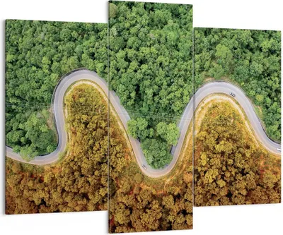 Produktbild von Bild auf Leinwand - Leinwandbild - 3 Teile - Luftaufnahmen Weg Wald - 130x100cm - Wand Bild - Wanddeko - Wandbilder - Leinwanddruck - Bilder - Wanddekoration - Leinwand bilder - CB130x100-4659