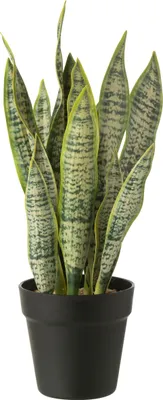 Zdjęcie produktu dla J-Line Dracaena Trifasciata w doniczce Sztuczne zielone meidum
