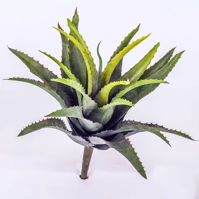 Produktbild von artplants.de Deko Agave, 22 Blätter, grün, auf Steckstab, 25cm - Künstliche Sukkulente - Kunstpflanze