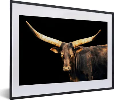 Produktbild von MuchoWow® MuchoWow® Gerahmtes Poster Kuh - Watussi - Braun 40x30 cm - Poster mit zchwarzem Bilderrahmen - Bilderrahmen - Poster im Rahmen
