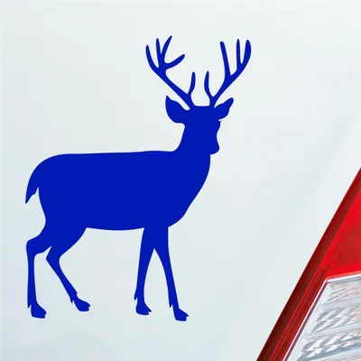 Produktbild von Auto Aufkleber Hirsch Reh Bock Deer Wild Jagd Wald Jäger KFZ Car 9,5x12 cm Dunkelblau Sticker Heckscheibenaufkleber