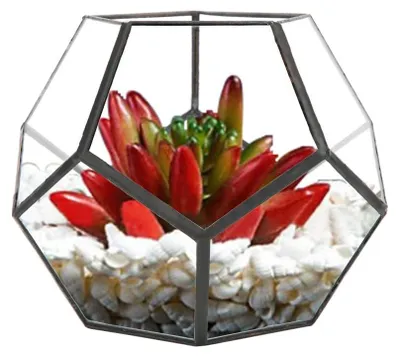 Image de Solidchoice - Jardinière en verre géométrique - Pot pour plantes grasses et décoration