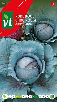 Produktbild von Rotkohl Redcap F1-Hybride Samen - Ca. 0,3 gr | VT_901
