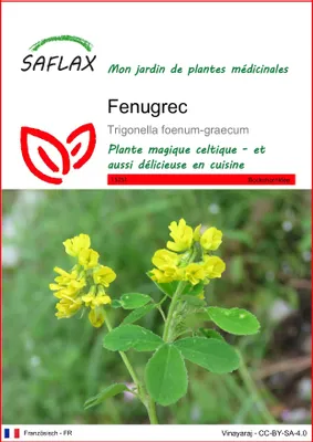 Image de SAFLAX  - Fenugrec - 100 graines - Trigonella