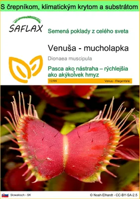 Obrázok produktu pre SAFLAX Garden to go - Venuša - mucholapka - Dionaea muscipula - 10 Semená - S črepníkom, klimatickým vekom a pestovateľským substrátom