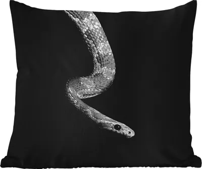 Produktbild von MuchoWow® Outdoor Kissen - Tiere - Schlange - Schwarz - Weiß - Porträt - 45x45 cm - Wetterfest - Lounge Kissen - Fotokissen - Dekoratives Kissen