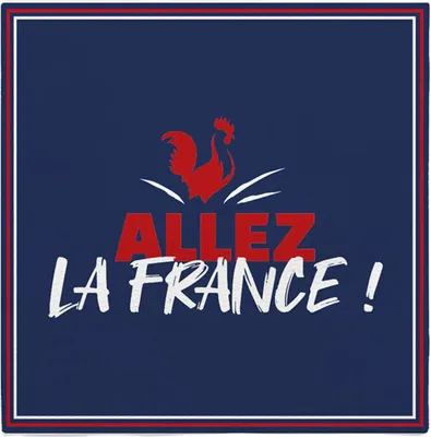 Produktbild von 10 Frankreich Papierservietten -