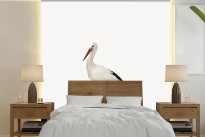 Produktbild von Tierschmuck - Wandtapete mit Entenmotiv - Weiß - Breite 240 cm x Höhe 240 cm