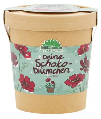 Image de Fleur en pot « Schokoblume » de Stadtgärtner, 1 pièce