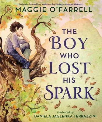 Produktbild von The Boy Who Lost His Spark