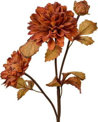 Immagine prodotto di Fiore artificiale Clayre & Eef 66 cm plastica marrone