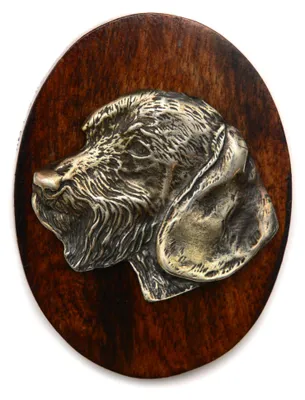 Produktbild von Drahthaariger Teckel - Hundeausstellungsbrosche, Startnummernclip, Hundeanstecker von Art-Dog