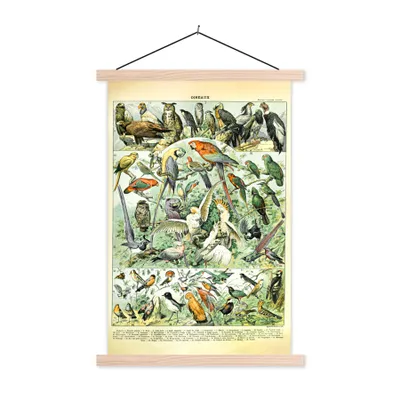 Produktbild von MuchoWow® Textilposter Tiere - Vintage - Adolphe Millot - Vögel - Design 120x180 cm mit holzfarbenen Rahmen - Textil-Plakat