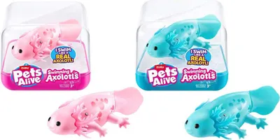Image de ZURU Pets Alive Axolotl nageant