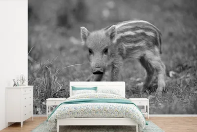 Produktbild von MuchoWow® Fototapete für Wohnzimmer oder Schlafzimmer Wandtapete Vinyl Motivtapete Wildschweinkalb im Gras - schwarz und weiß - 420x280 cm - Zimmer für Kinder