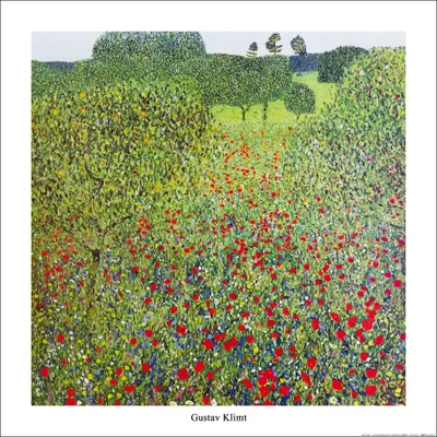 Produktbild von Gustav Klimt Kunstdruck Bild - Mohnblumenwiese 1907,  (70 x 70 cm)