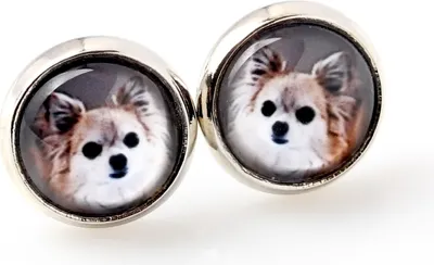 Immagine prodotto di Chihuahua a pelo lungo - I tuoi orecchini sono fatti a mano, foto originali, gioielli del marchio Art.-Dog.