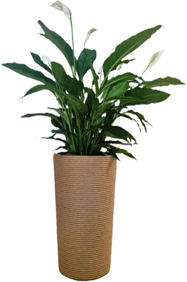 Produktbild von ADONI XXL Jute-Pflanzkübel mit Einsatz (75 cm) – Handgefertigter Hoher Blumentopf im Boho-Stil – Ø 44 cm, Bodenstehend, Beige Natur