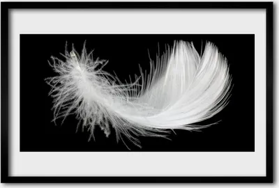 Produktbild von Bild 60x40 MDF-Rahmen Wandkunst Feder-Kunst