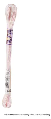 Imagen del producto de Hilo DMC Stickgarn Mouline Variations 417F - 4170, de 6 hebras, 8 metros