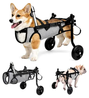 Produktbild von Hunde-Rollstuhl für Hinterbeine, Verstellbarer Mobilitätshilfewagen mit Atmungsaktivem Mesh und Sicherheitsschnallen, Leichter Aluminiumrahmen für Kleine Hunde und Katzen, Ideal bei Lähmung und Behinderung